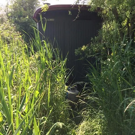 Lodge Gipsy Wagon Near Amsterdam And Velserbroek